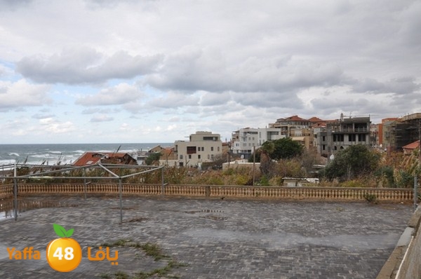 yaffa rain 1211 (8).JPG